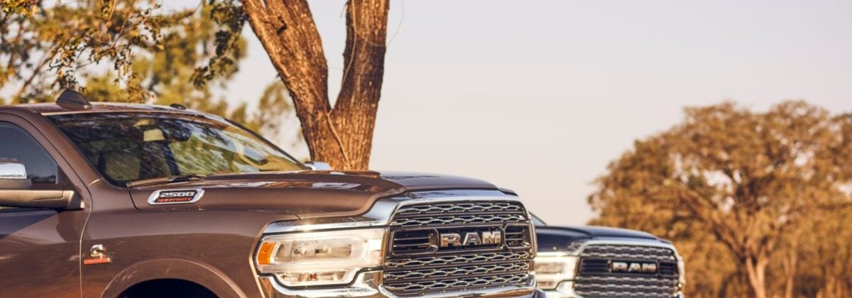 Ram