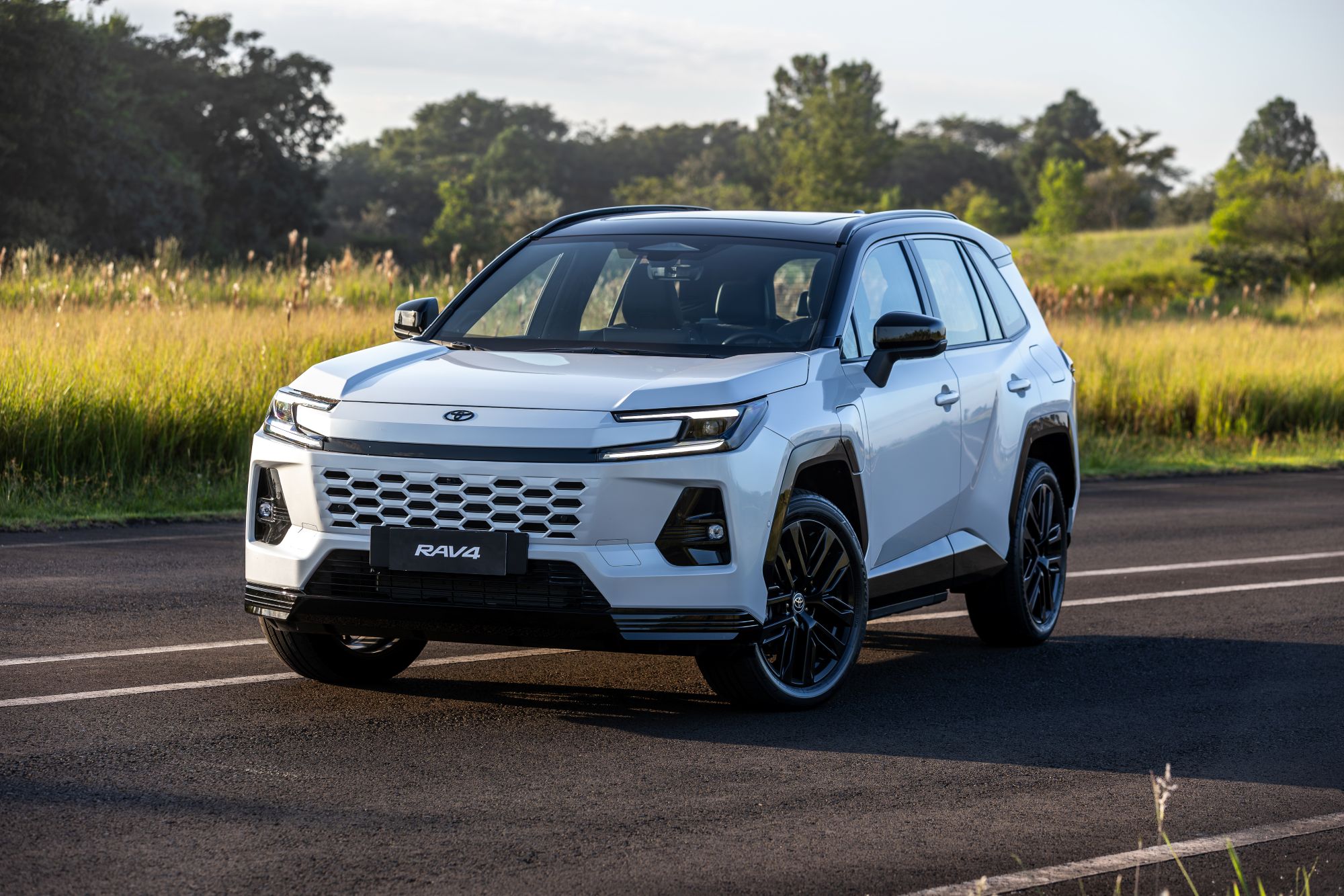 RAV 4 PHEV