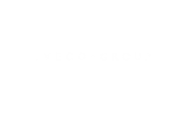 IVECO (2)