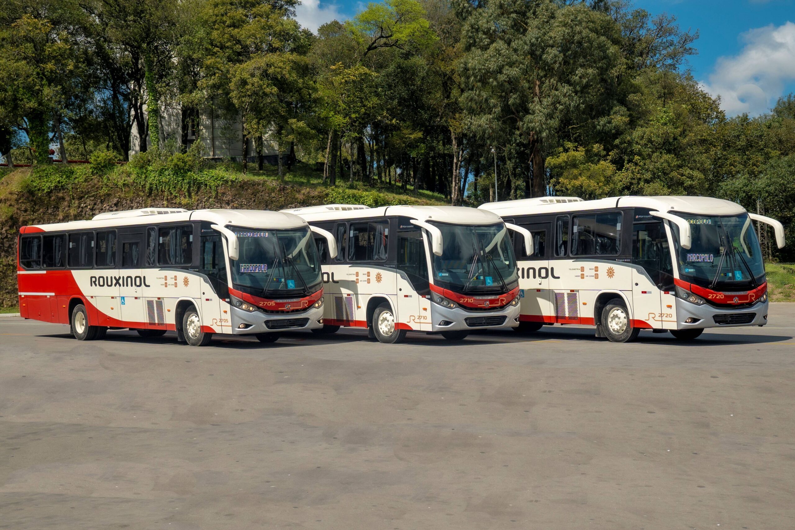 Marcopolo Rouxinol